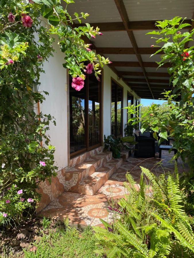 Teanehi Bed & Breakfast อังกาโรอา ภายนอก รูปภาพ